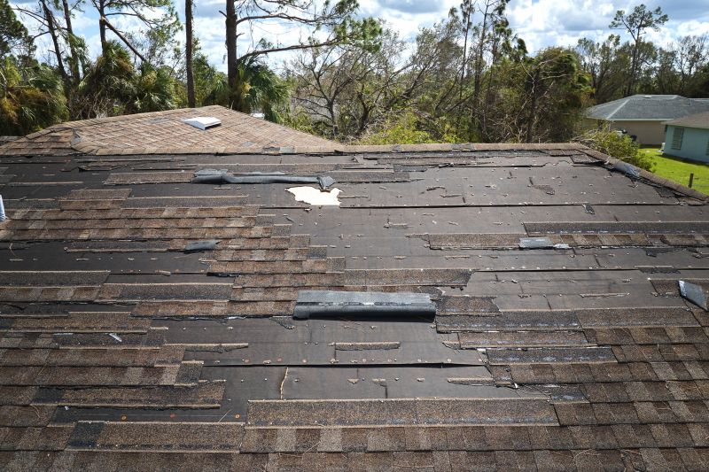 Damaged Shingle Replacement