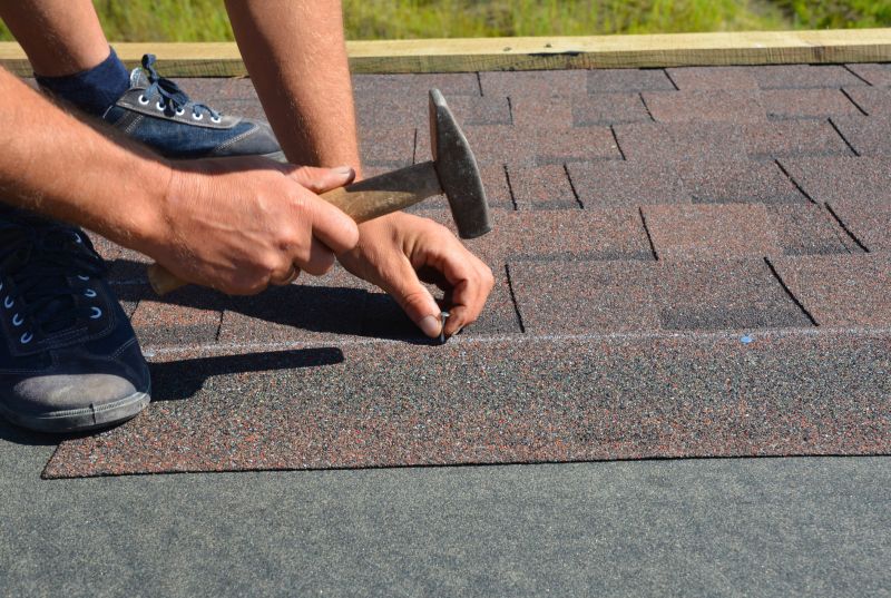 Professional Roof Inspection